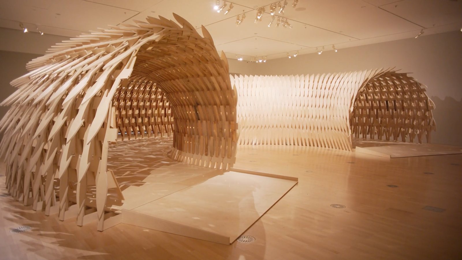 Curved timber pavilion in a gallery
